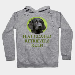 Flat Coated Retrievers Rule! Hoodie